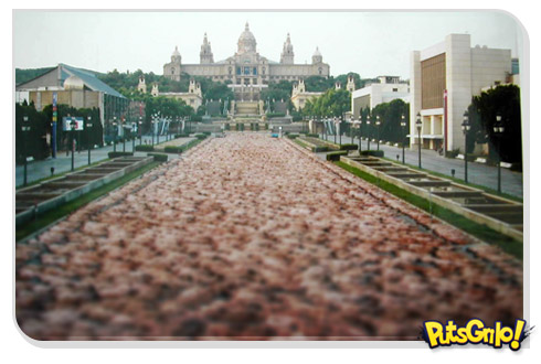 Homens e mulheres ficam nus para fotos artísticas de Spencer Tunick
