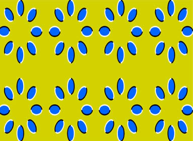 12. Ilusão de Ótica: Flores Girando