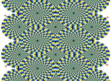 14. Ilusão de Ótica: Cobras Girando