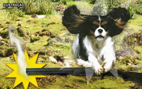 Seria Engraçado Se Não Fosse Trágico: Cachorro Mata Dono com Tiro