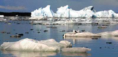 Derretimento geleiras. Aquecimento Global