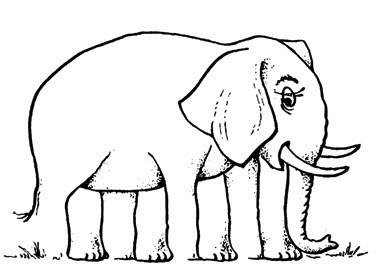 05. Ilusão de Ótica: Elefante de Quantas Patas?