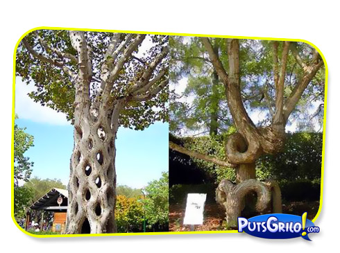 Jardinagem: Você Conhece a Arboescultura?