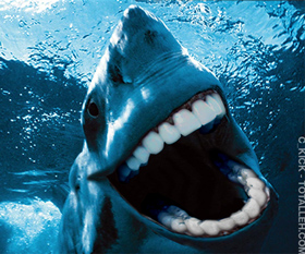 Tubarão Dentado: Super Dentes!