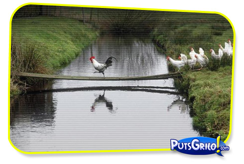 Fotos e Montagens Mais Inusitadas