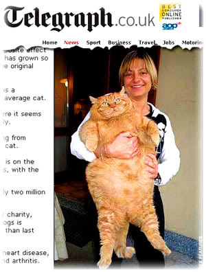 Garfield: Conheça a Versão Real do Gato Preguiçoso