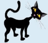 Gato Preto