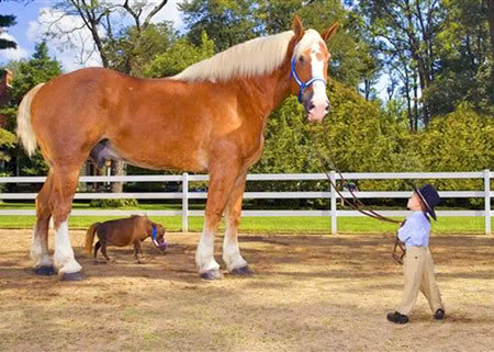 Foto: Guinness World Records/AFP