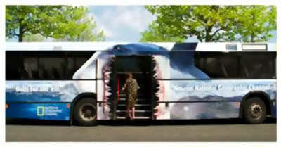 National Geografic: O Grande Tubarão Branco