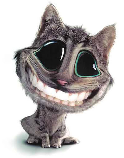 Gatinho Sorrindo