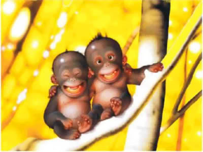 Smile de macaquinhos