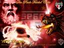 SPnet