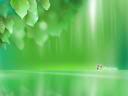 Windows Vista