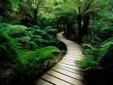Natureza - Estrada