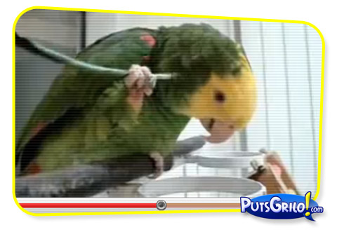 Coçando a Periquita