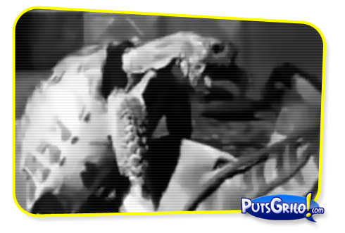 Sexo Animal: Tartaruga de Mau Gosto