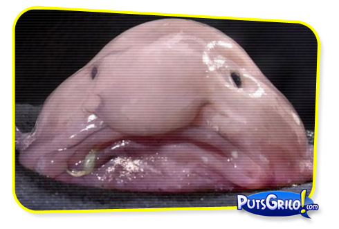 Oh Coisinha Tão Bonitinha do Pai