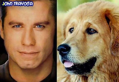 John Travolta John Travolta