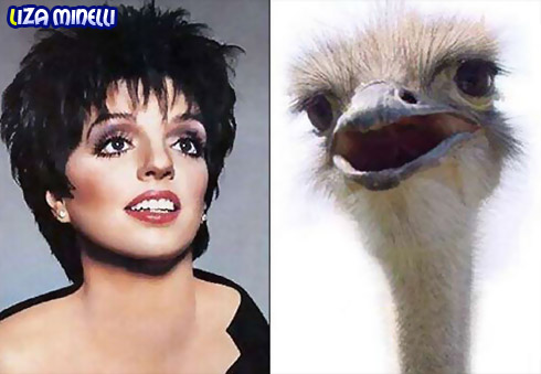 Liza Minelli Liza Minelli