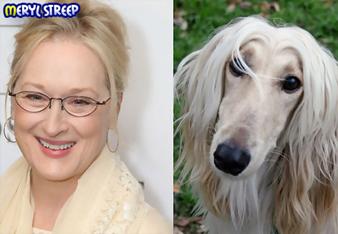 Meryl Streep Meryl Streep