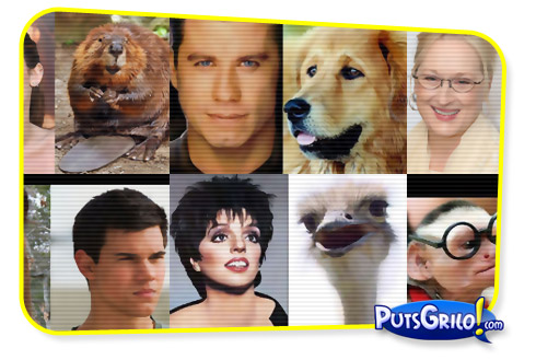 As Celebridades, Os Animais e Suas Semelhanças