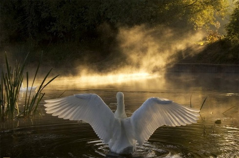 national geographic, estados unidos, fotos, terra, fotografia
