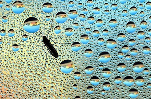 national geographic, estados unidos, fotos, terra, fotografia