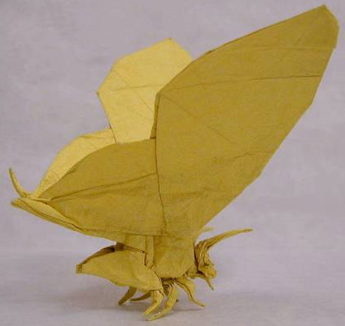 arte, origami, fotos, animais, papel