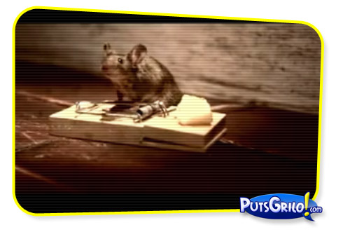 Vídeo: O Rato Mais Forte do Mundo