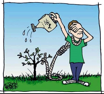 Tirinhas: O Coelho Suicida