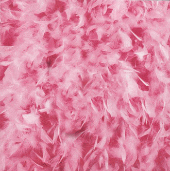 Imagem: Capas de Discos em GIF