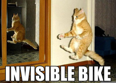 Fotos: Gatas e Gatos em Momentos Divertidos