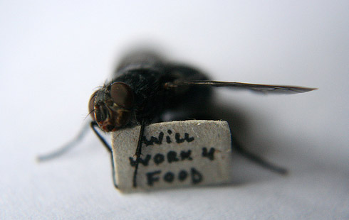 Mosca