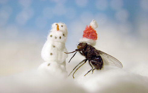 Mosca