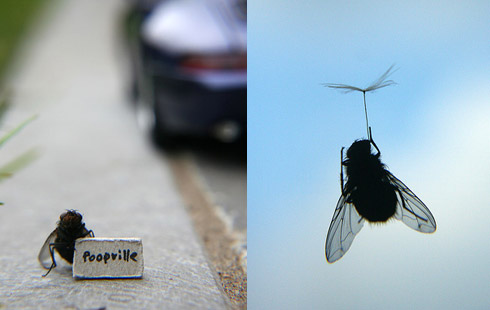 Mosca