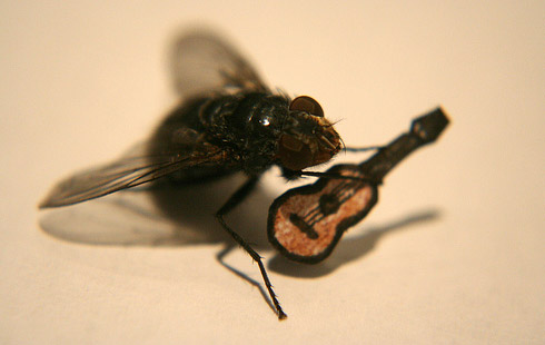 Mosca
