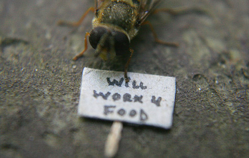 Mosca
