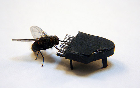 Mosca