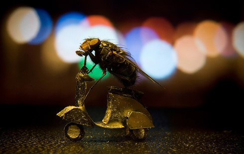 Mosca