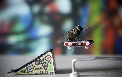 Mosca