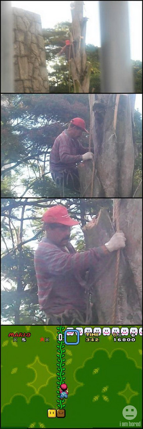 Flagra: Mario Bros da Vida Real