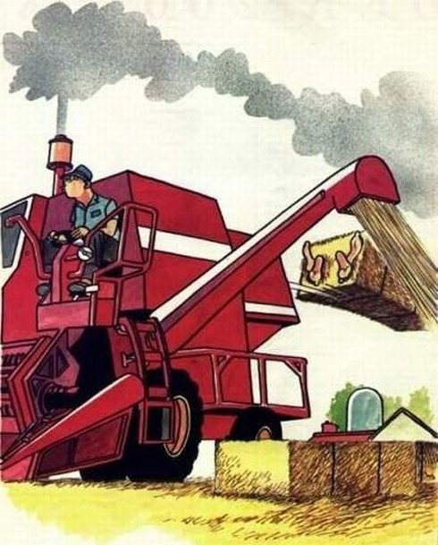 Humor: Quadrinhos Engraçados e Irônicos
