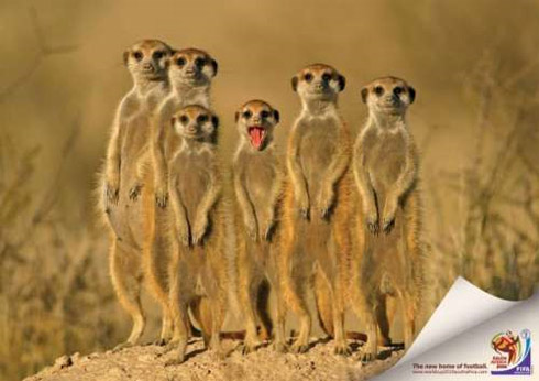 Copa do Mundo 2010: Propagandas Criativas Copa do Mundo 2010: Propagandas Criativas