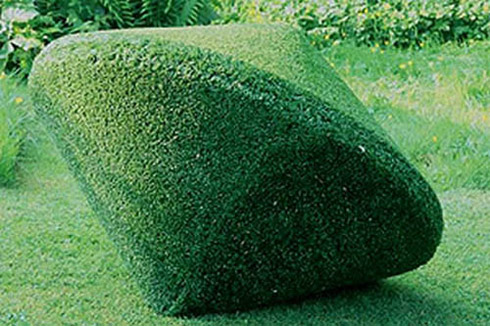 Arte: Esculturas Feitas de Plantas