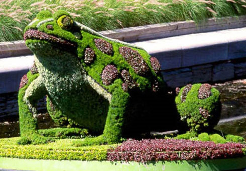 Arte: Esculturas Feitas de Plantas