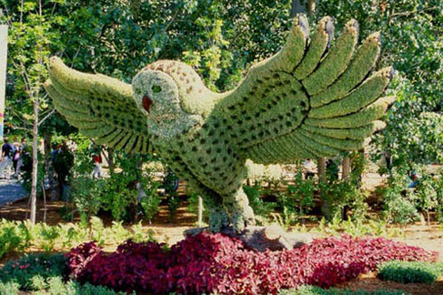 Arte: Esculturas Feitas de Plantas