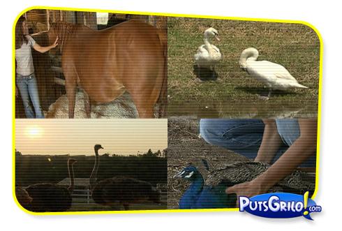 A Fazenda 3: Fotos dos Primeiros Participantes