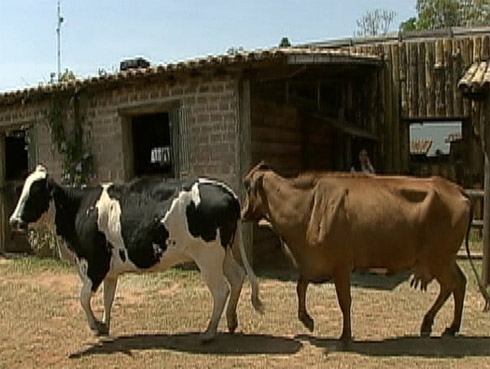 A Fazenda 3: Fotos dos Primeiros Moradores
