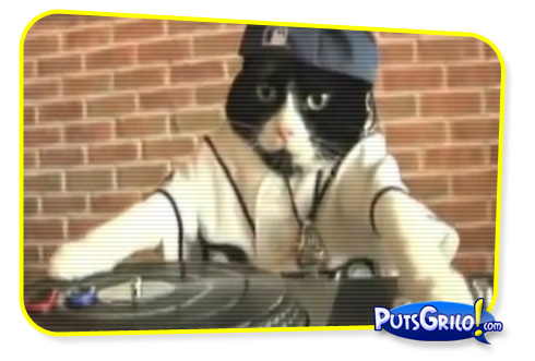 Dj Hero Tocado Por um Gato [Vídeo]