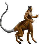 Download de GIFs do Mortal Kombat Para MSN Messenger